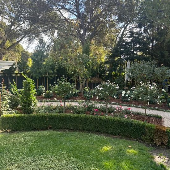 WhatsApp Image 2024-12-03 at 4.17.41 PM